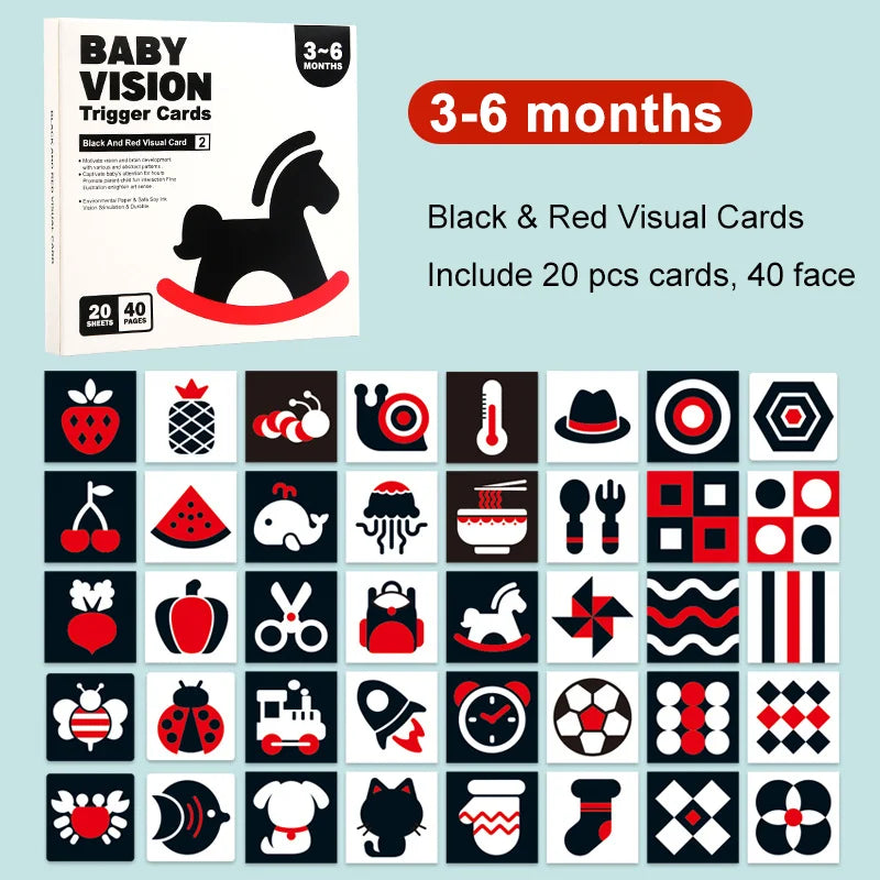 TinyGenius™ Baby Intelligence Flashcards